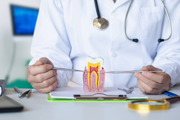Best Emergency Treatment for Dental Infections or Abscesses in Southern View, IL